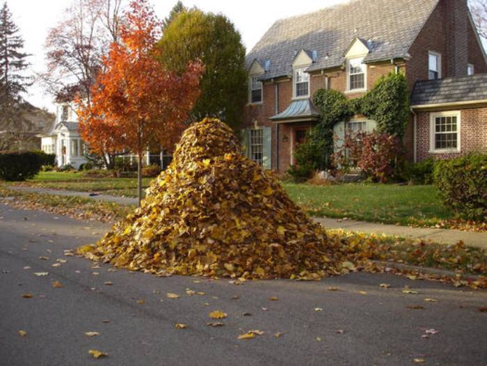 pile of leaves in front of residential home
