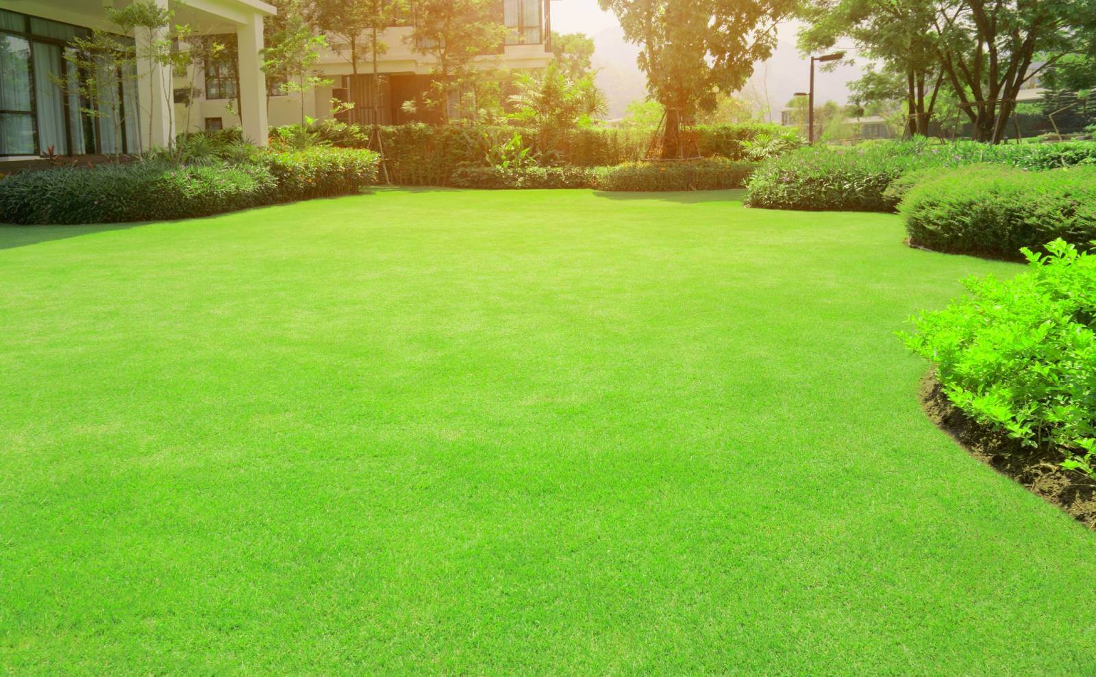 a beautifully maintained lawn, with lush green grass, manicured edges