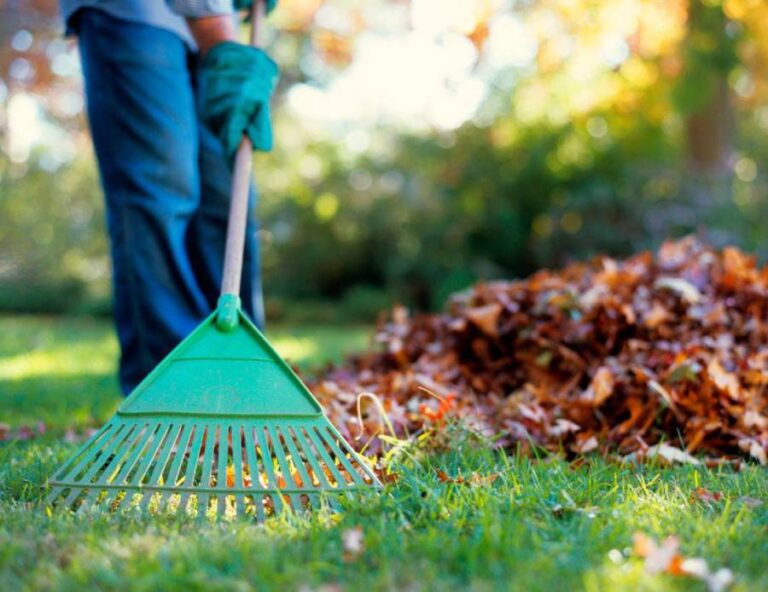 professional raking leaves for cleanup