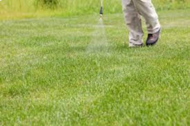 professional using weed control technique on lawn