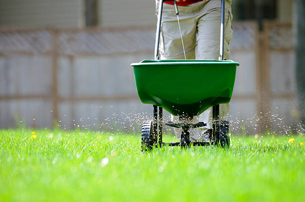 professional spreading fertilizer on lawn with machine