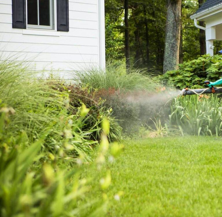 a person spraying insecticide for mosquito control in a residential outdoor area