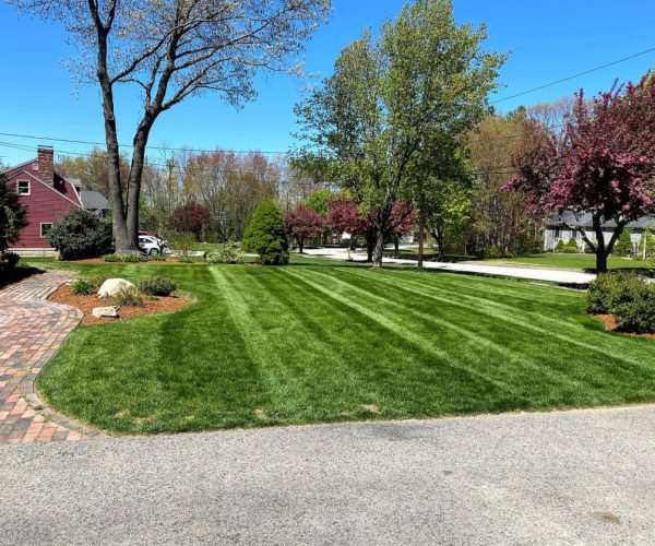 best lawn care services massachusetts